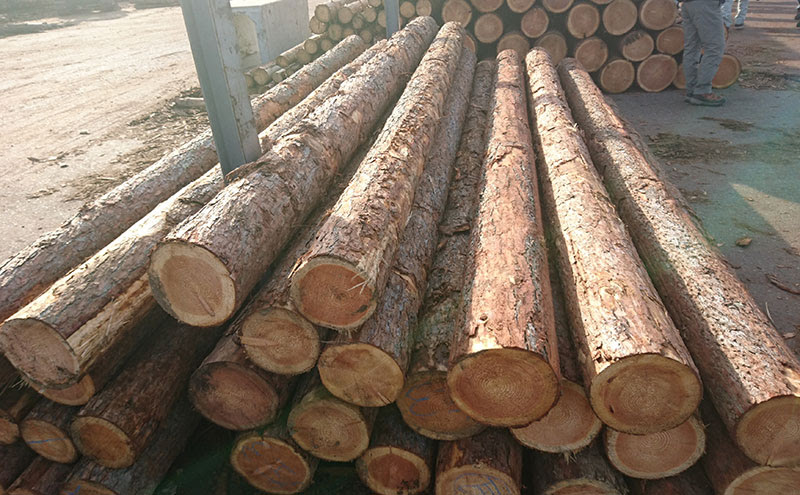 木の活用 出口を見てみよう 中信木材センター なにあいドットコム