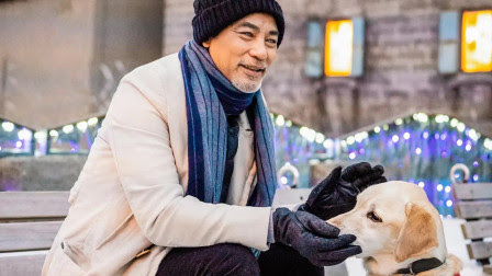 温情治愈港片 小q 任达华演技炸裂 导盲犬的使命让人泪崩