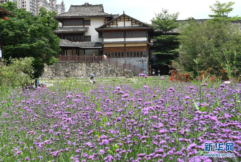 民风民韵迎客来 新华网