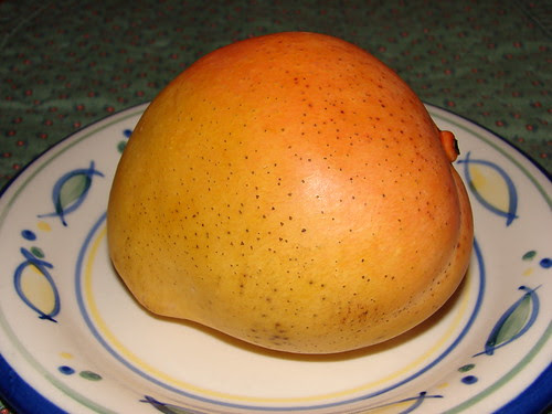 The first mango of the season