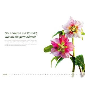 PAL Lebensfreude Inspirationen Wandkalender 2015