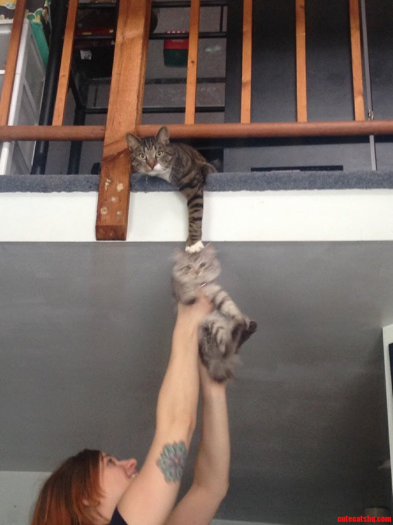 Come with me.