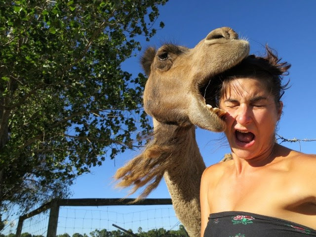 Fotografías tomadas en el momento justo. 
