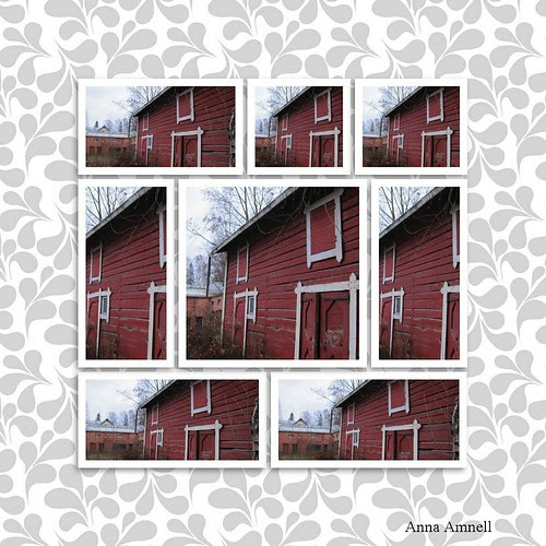 Kollaasi-vadelma