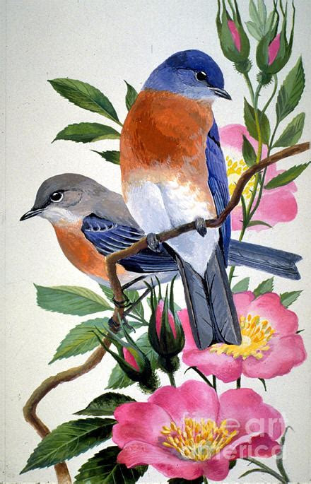 state bird flower york painting alan singer