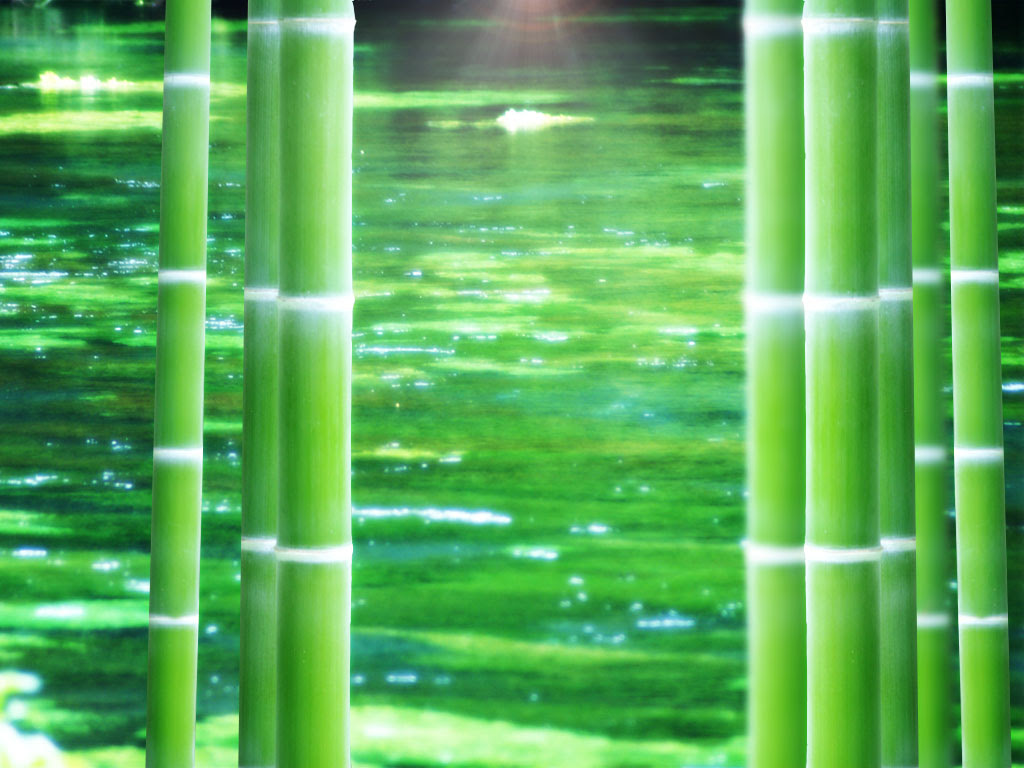 緑色 癒し系壁紙 ゆとり生活社