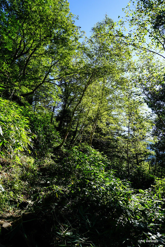DSC00901