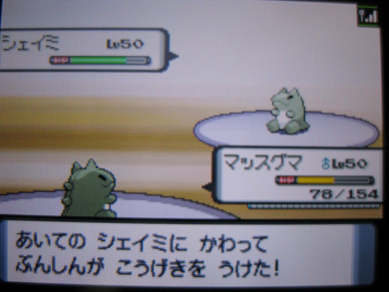 ポケモン みがわり で出てくるあいつのぬいぐるみ 中川龍のひまつぶし