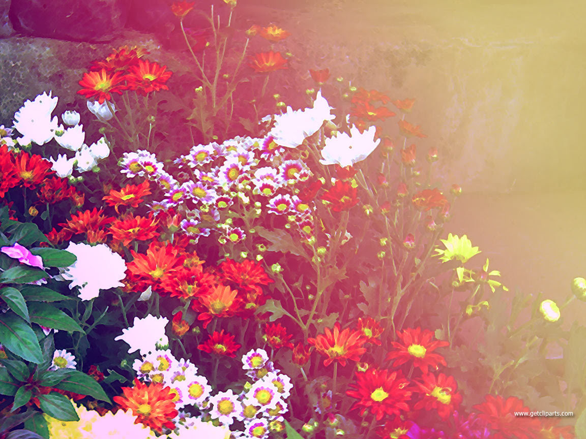 http://24.media.tumblr.com/tumblr_lixuc2Ms9g1qhk34co1_1280.jpg