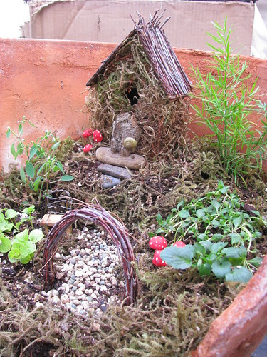 Fairy Garden Close Up
