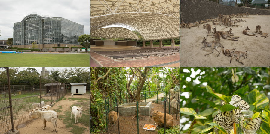 カピバラ大好き 響灘緑地 グリーンパーク