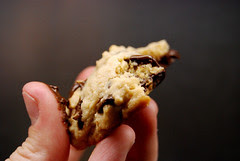 Cakey Chocolate Chip Cookies