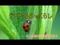 最高のコレクション てんとう 虫 幼虫 写真 746505