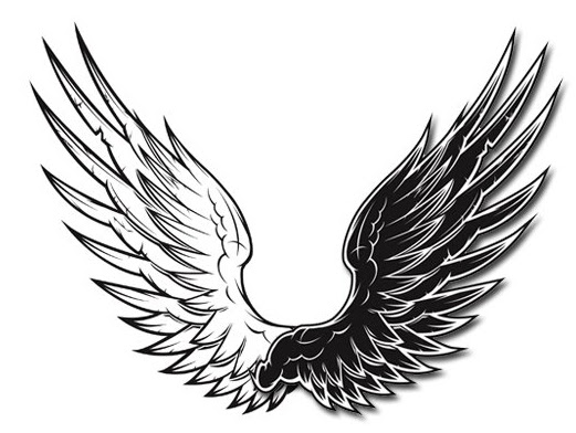 Download Amount of black and white vector clip wings_Download free vector,3d model,Icon--youtoart.com