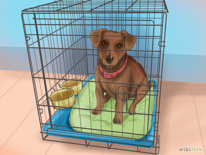 Crate Train Your Dog or Puppy Step 17 Version 3.jpg
