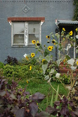 Garden in front yard of side house on Albemarle Road