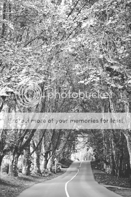  photo IMG_1423.jpg