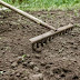 How To Fertilize Through Landscape Fabric