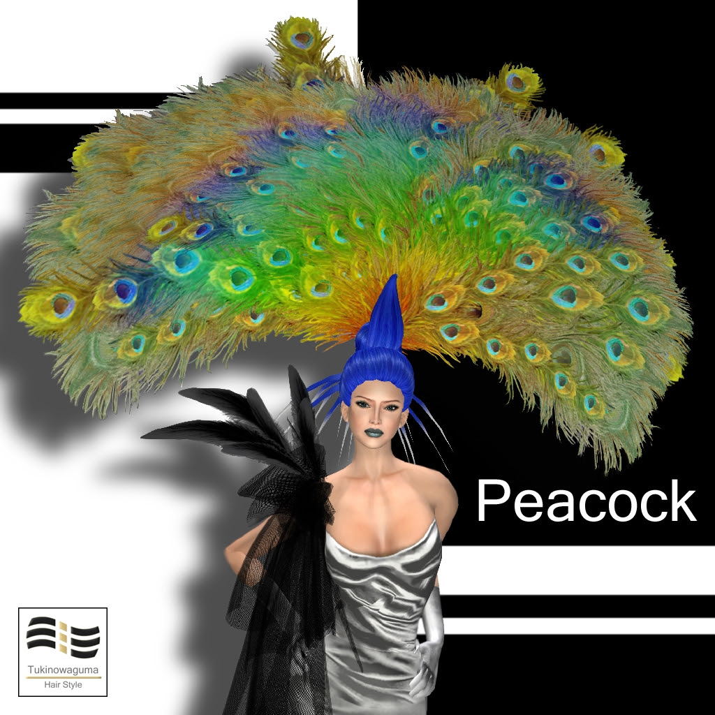 Tukinowaguma Peacock - 3rd Anniversary