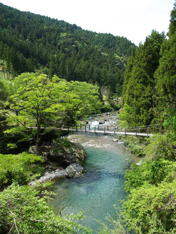 岐阜県 山県市 鮎見の橋