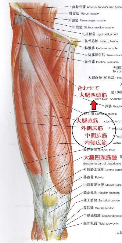 ドクター千賀 ふとももの痛み