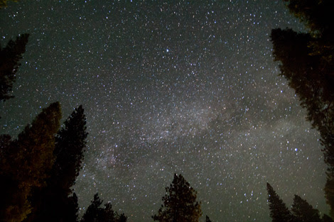 森で見上げた星空のフリー写真素材 天体写真の世界