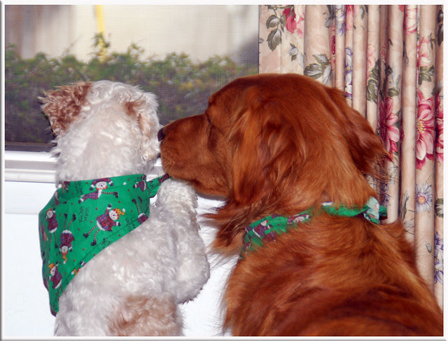 BFFsLooking-out-win