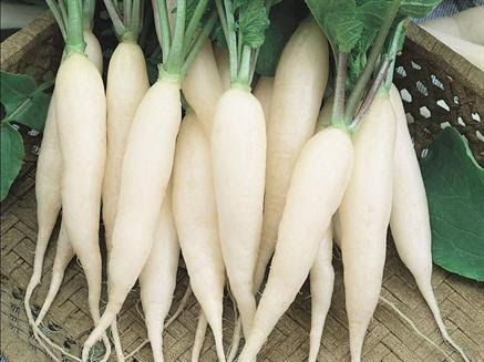 Image result for fusiform root