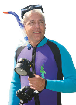 Dr Werner