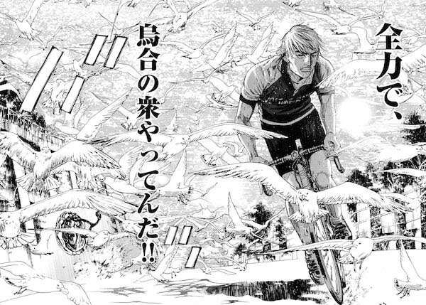 自転車漫画を紹介 かもめ チャンス