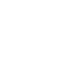 Stream Skunk Radio Live on Google Assistant