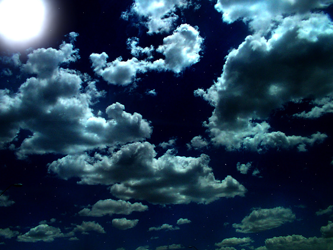 http://24.media.tumblr.com/tumblr_mbiahbAD571rv8m4xo1_1280.jpg
