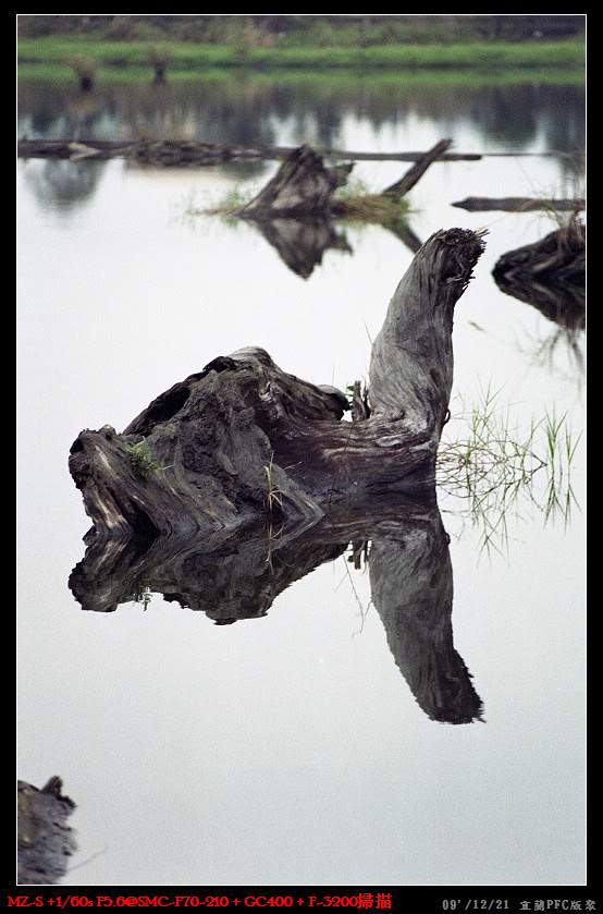 PENTAX_MZS+FA＊28-70&Angenieux28_f3,5R11+GC400 _026_nEO_IMG
