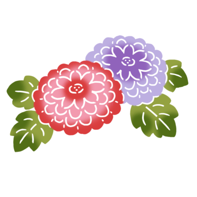 小菊a 桃紫 の無料素材 イラスト沖縄 おきなわ