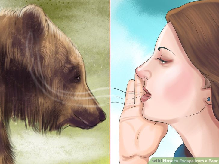 Escape from a Bear Step 11.jpg