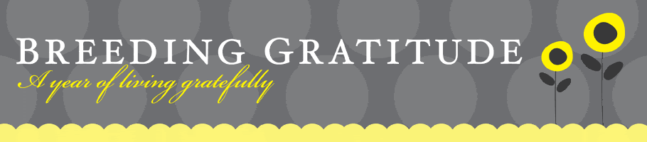 Breeding Gratitude