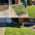 Sod Replacement Near Me / Check spelling or type a new query.