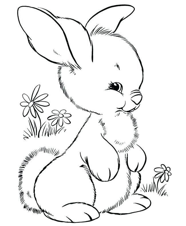 detailed bunny coloring pages  let's coloring the world