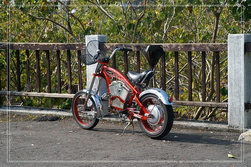 PICT6520