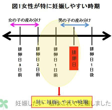産み分けで妊娠する確率はさらに下がる 妊娠したい 私はこれで妊娠しました