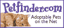 Pet Adoption