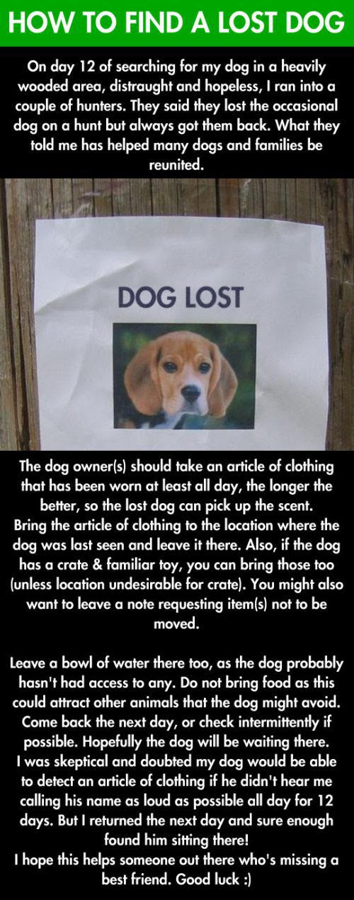 185