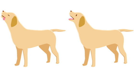 無料素材 可愛いラブラドールを2パターンの表情で描いたベクターイラスト
