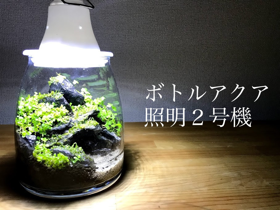 ボトルアクアリウムのled照明を100均の材料で作る 第２弾 Aqua24アクアリウム