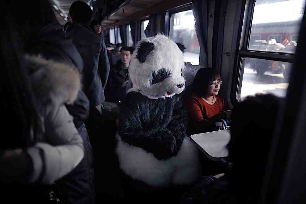 2013 Chinese Lunar New Year Photos