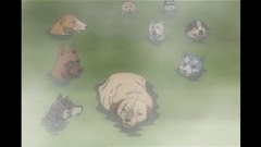 銀牙伝説ウィード アニメ動画ならムービーフルplus