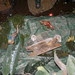 Presepe di Francesca 2010