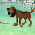 Fox And The Hound Trivia Questions : This fun disney quiz will upgrade game night.