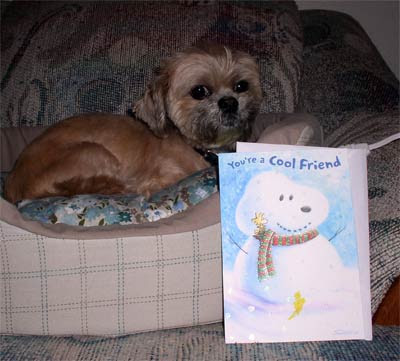 Bilbo-and-Card