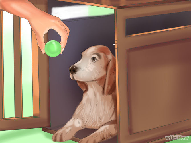 Crate Train Your Dog or Puppy Step 8 Version 3.jpg